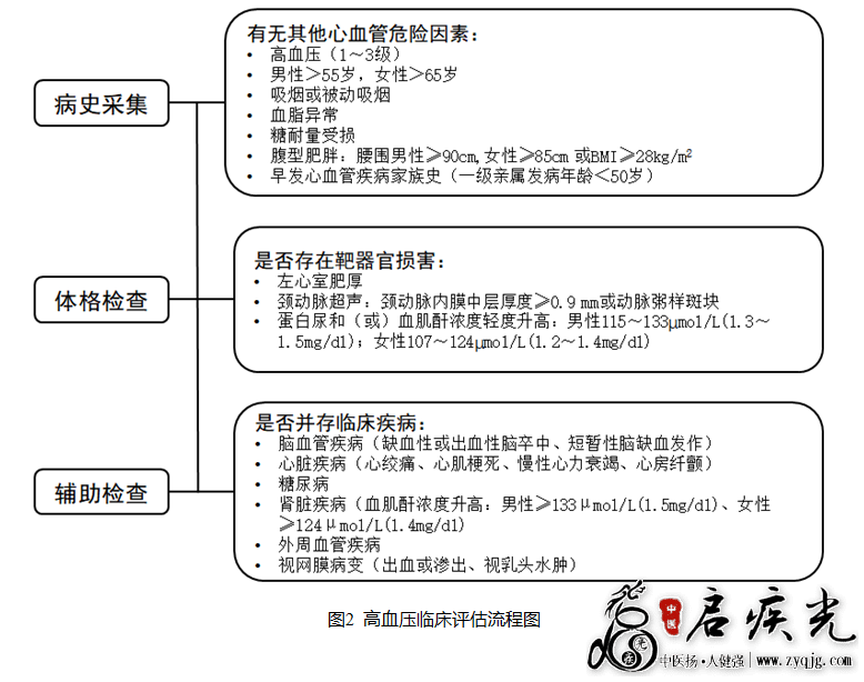 县域高血压分级诊疗技术方案(国卫办医函〔2022〕34号)
