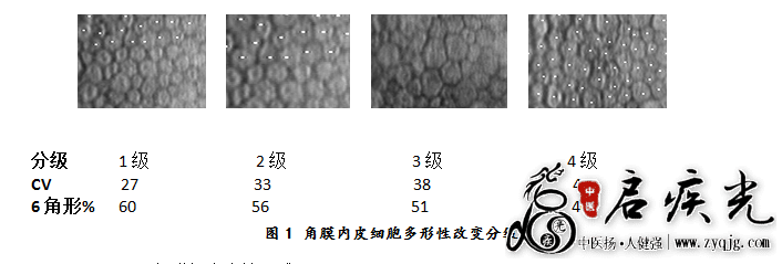 接触镜护理产品注册技术审查指导原则(食药监办械函〔2011〕116号) ... ... ...