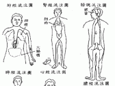 吃西药会伤胃，实际上是五脏六腑皆伤 ...