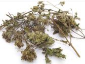 香薷(别名：香茅、香绒、石香茅、石香薷、香茸、紫花香茅、蜜蜂草、细叶香薷) ... ... ...