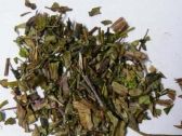 青鱼胆草（别名：蔓龙胆、对叶林、鱼鳅藤、鱼胆草、抽筋草喷七） ... ... ...