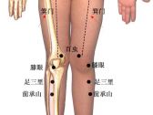 小儿推拿常用穴位●下肢部穴位●箕门（足膀胱）