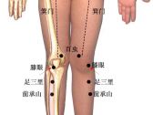小儿推拿常用穴位●下肢部穴位●膝眼（鬼眼）