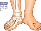 小儿推拿常用穴位●下肢部穴位●太冲