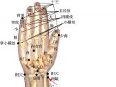 小儿推拿常用穴位●上肢部穴位●列缺