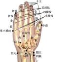 小儿推拿常用穴位●上肢部穴位●三关