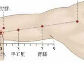 手阳明腧穴●曲池（别名:鬼臣、阳泽、鬼腿、肘尖；手阳明大肠经合穴） ... ... ...