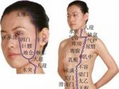 足阳明腧穴