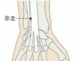 手太阳腧穴●养老(手太阳小肠经郄穴）