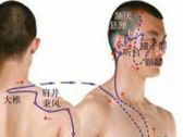 手少阳经络