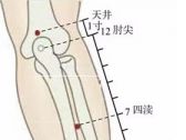 手少阳腧穴●中渚(手少阳三焦经输穴)