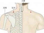 足少阳腧穴●肩井(手少阳三焦经、足少阳胆经、足阳明胃经、阳维脉交会穴) ...
