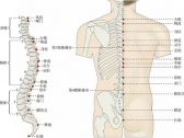 督脉腧穴●长强(别名:气之阴郄、橛骨、气郄;络穴，督脉、足少阳经、足少阴经交会穴) . ...