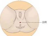 任脉腧穴●会阴（别名:屏翳、下极、金门）