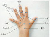 小儿推拿常用穴位●上肢部穴位●老龙