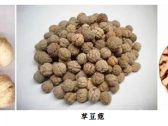 一字之差而千里之别的中药