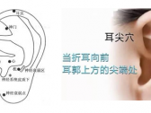 神奇的耳尖放血能治挺多种病