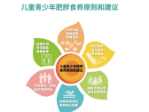 成人慢性肾脏病食养指南（2024 年版）