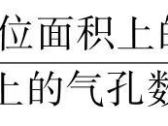 第八章 叶类中药 第一节 概　述