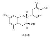 儿茶鉴定