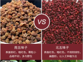 五味子：五味小果品百态