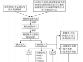 86个罕见病病种诊疗指南（2025年版）·肢端肥大症（肢大）