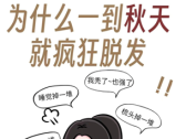 中医推荐4款“固发”食疗方以防更易脱发的秋季