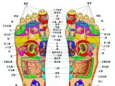 足道探秘：足底反射区准确位置图解