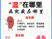 雨季病多，你的“湿”可能是“寒”惹的祸