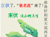 立秋后八月末伏，暑湿与初燥交织，需要用清润养收四字诀应对
